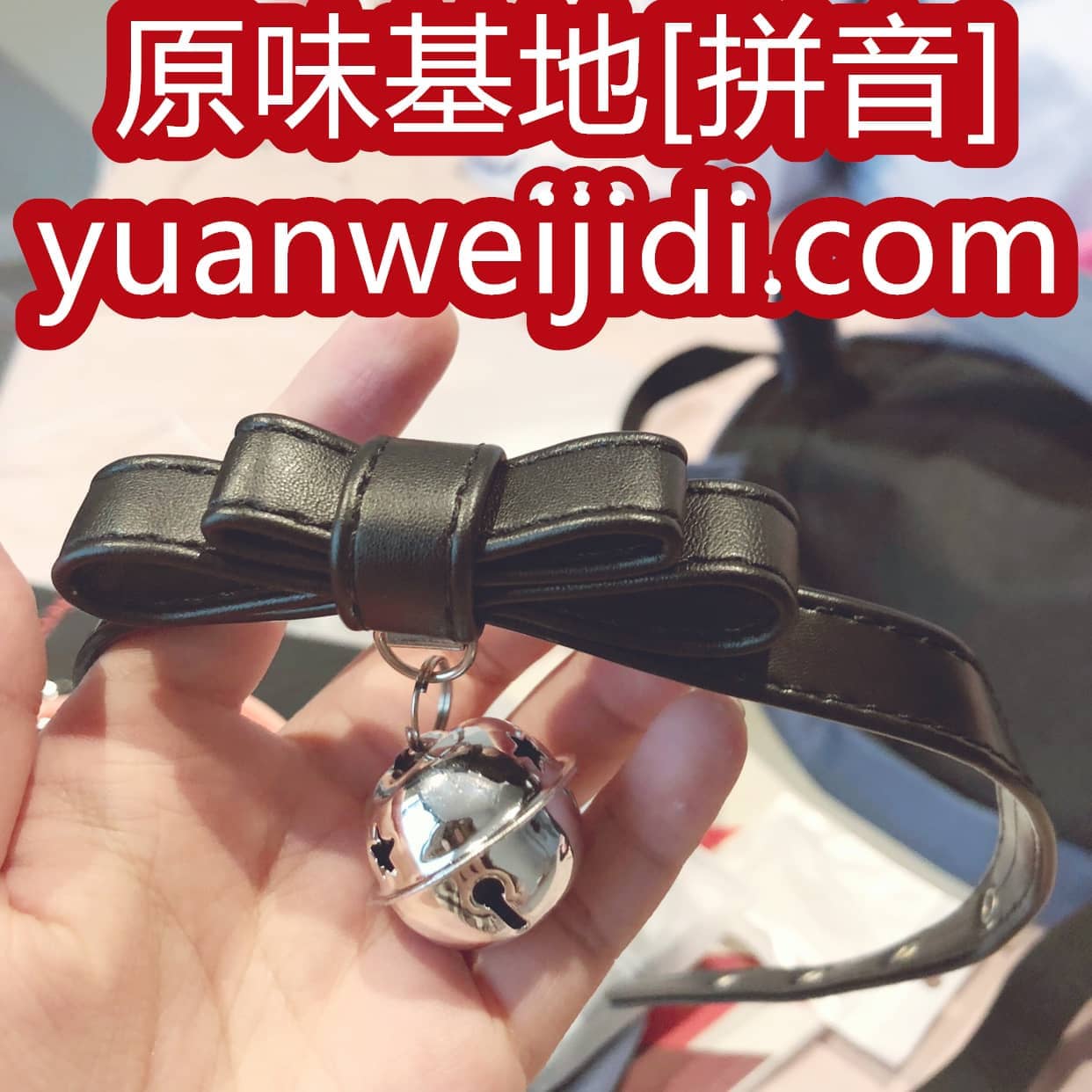 第一原味网 - 我爱原味网怎么打不开