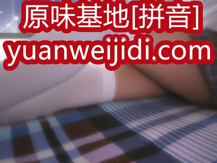 本主最爱的胸贴 带本主的气味 - 原味内衣乳贴 - 内二手裤图片